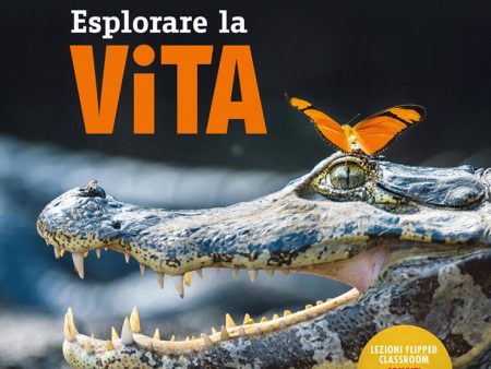 Esplorare la vita Online Hot Sale