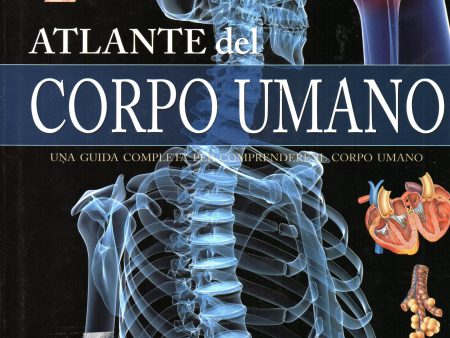 Atlante del corpo umano For Cheap